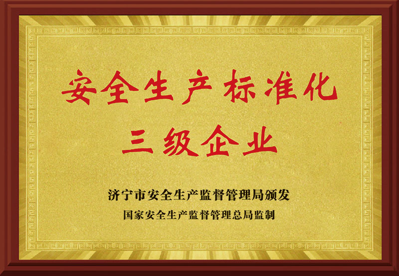 《安全生产标准化三级企业》