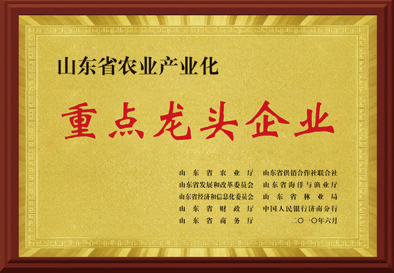 《山东省农业产业化重点龙头企业》
