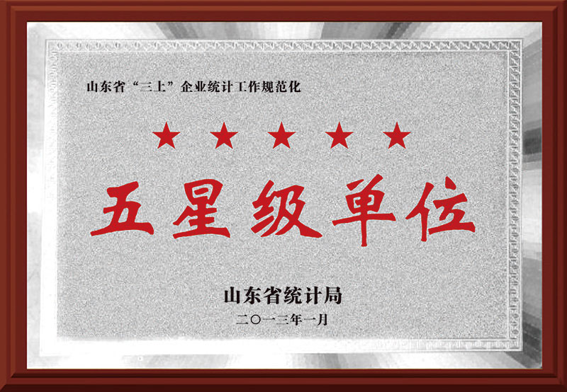 《五星级单位》