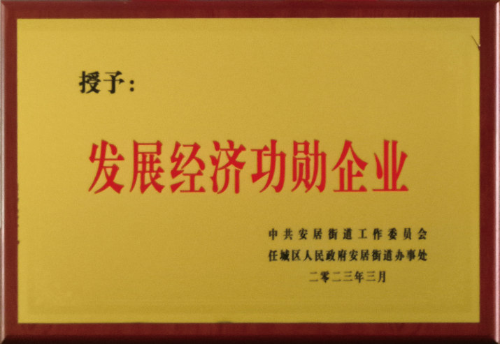 发展经济功勋企业
